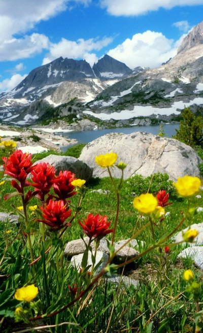Альпийские Луга Кыргызстана