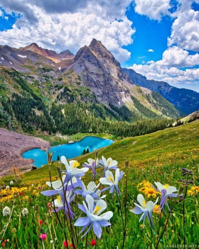 Альпийские Луга Сочи