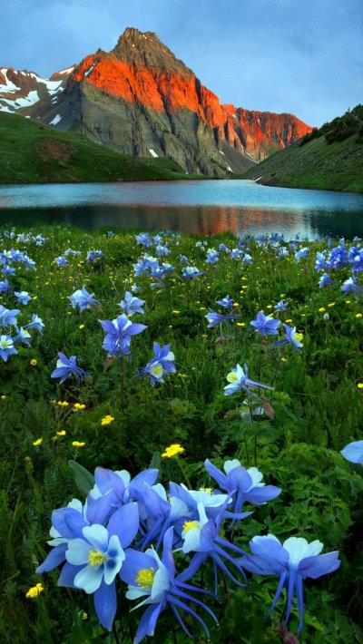 Ергаки Альпийские Луга