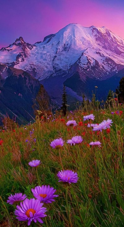 Природа Эстетика цветы яркая