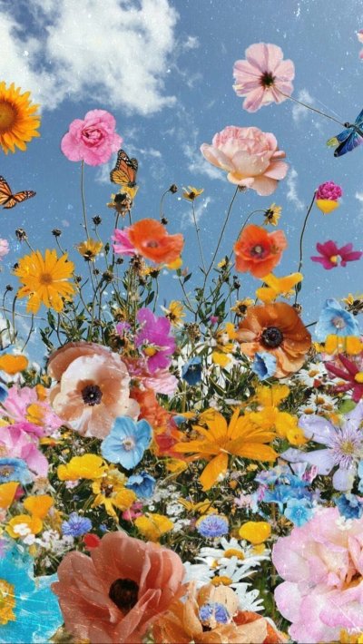 Летние цветы