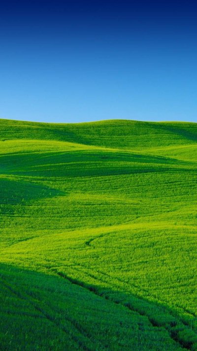 Зеленая лужайка