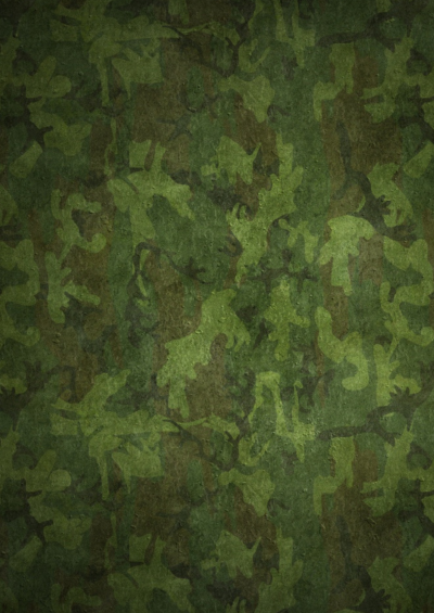 Пиксельный камуфляж Ратник