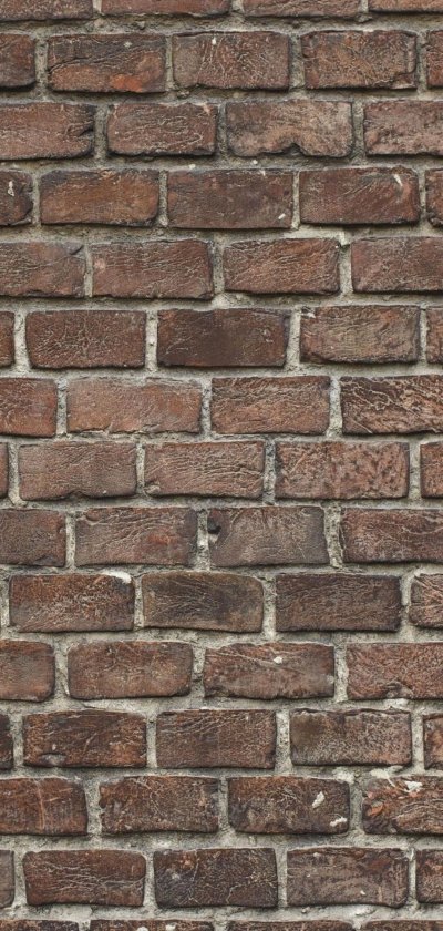 Пиксельная стена