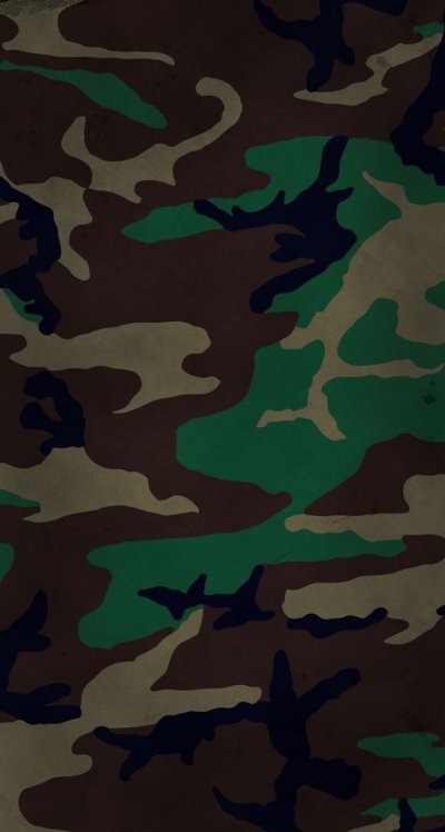 Woodland Camouflage 4r