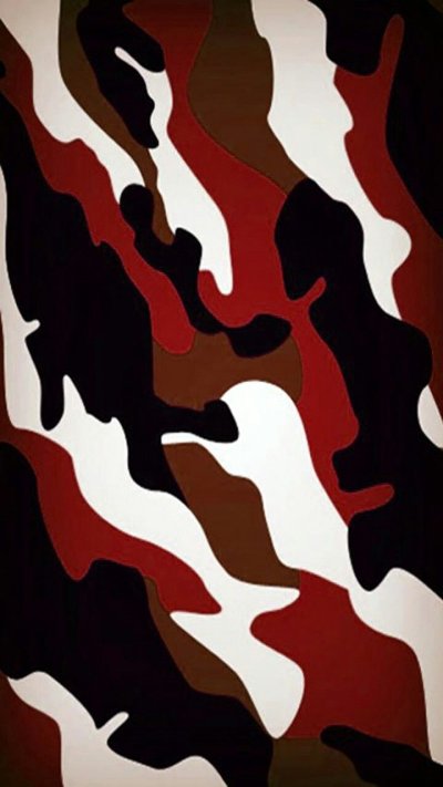 Камуфляжная расцветка