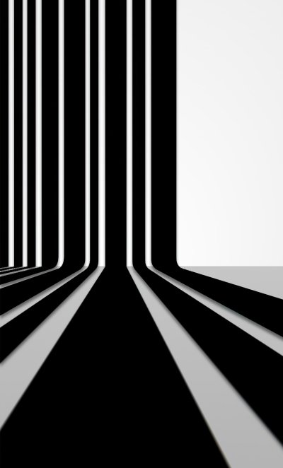 Черно белый сектор