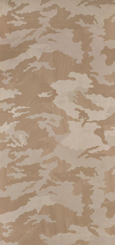 Камуфляж фон