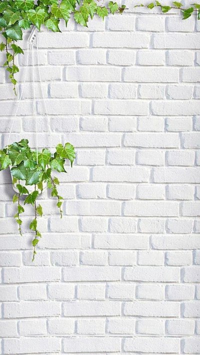 Кирпичная стена с зеленью