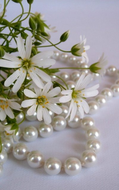 Красивый жемчуг