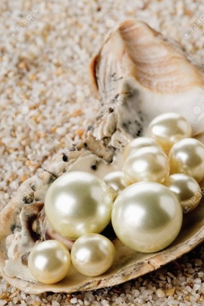 Жемчуг в ракушке