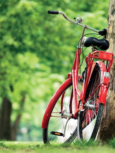 Велосипед в парке