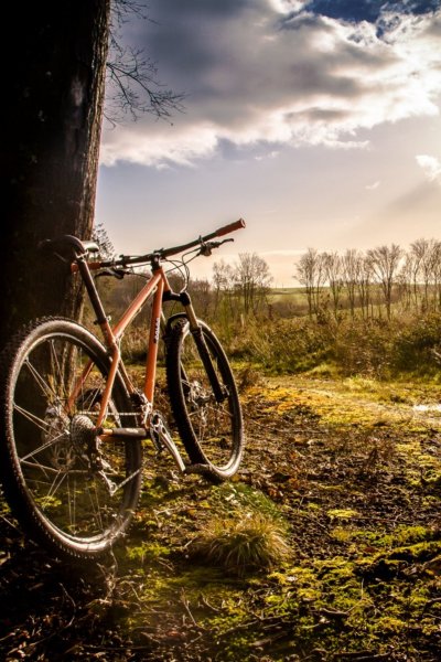 Велосипед в парке