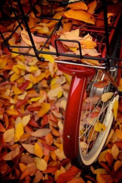 Осенний велосипед