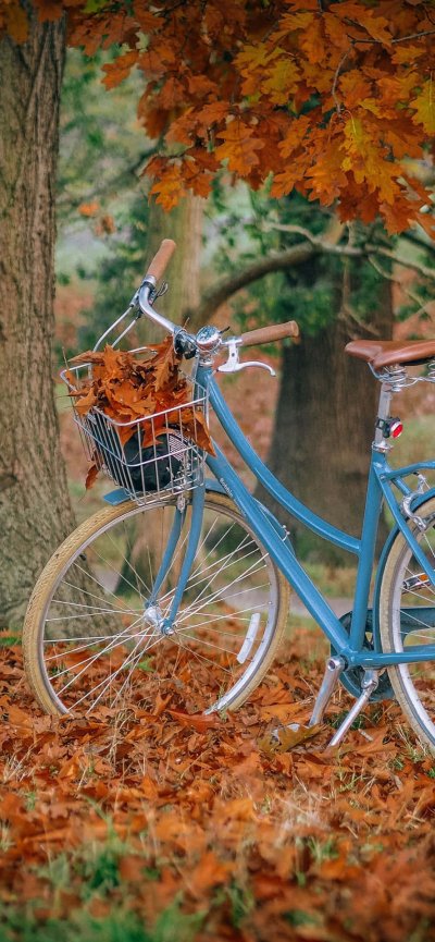 Велосипед на природе