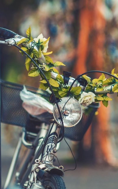 Велосипед с цветами