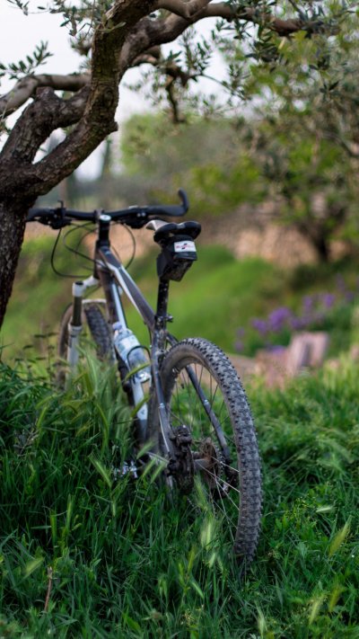 Кросс Кантри двухподвес 27.5