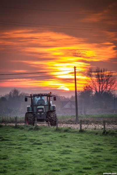 Трактор в поле