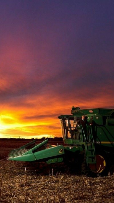 Комбайн в поле