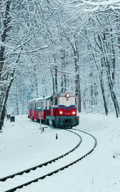 Поезд зимой