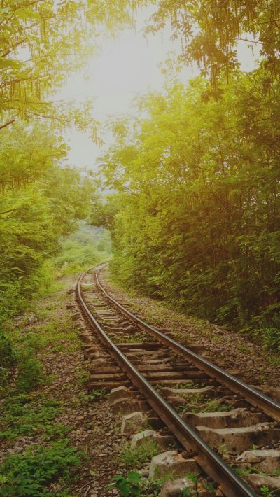 Железные дороги