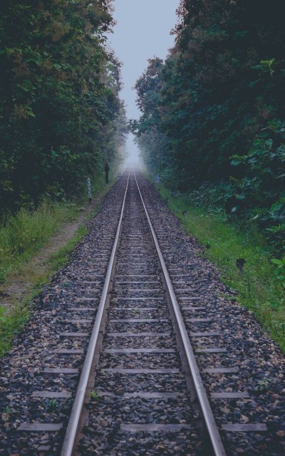 Железная дорога в лесу