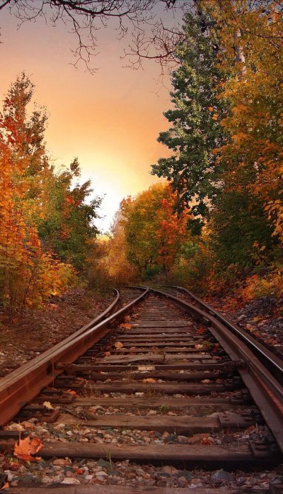 Железная дорога осень