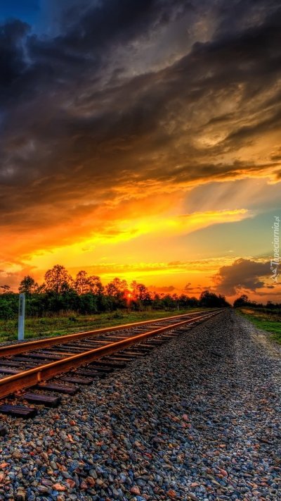 Железнодорожный пейзаж