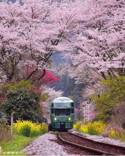 Оита Япония