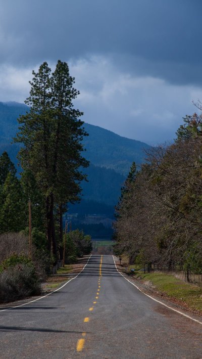 Природа дорога