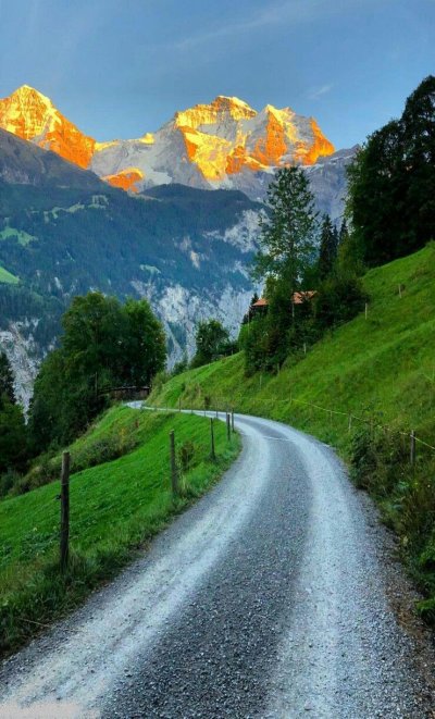 Чуйский тракт лето