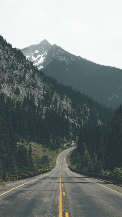 Горы лес дорога Австрия