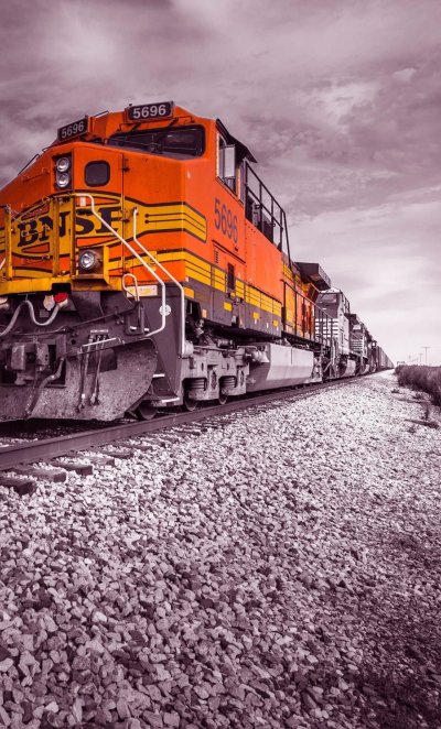 Метельник Локомотива