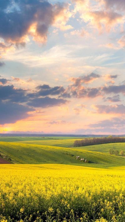 Фото 1440 на 230