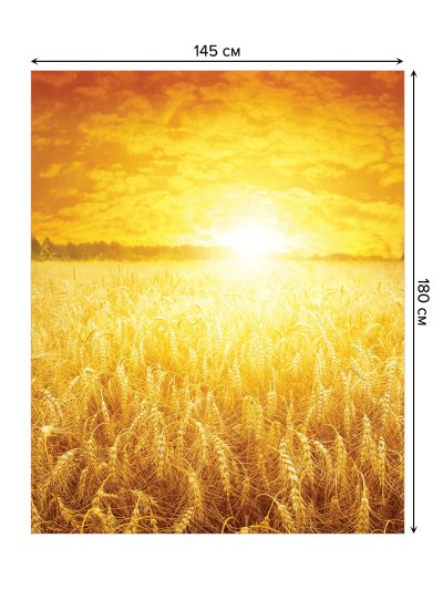 Пшеничное поле