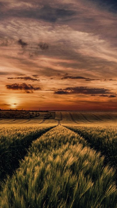 Природа поле