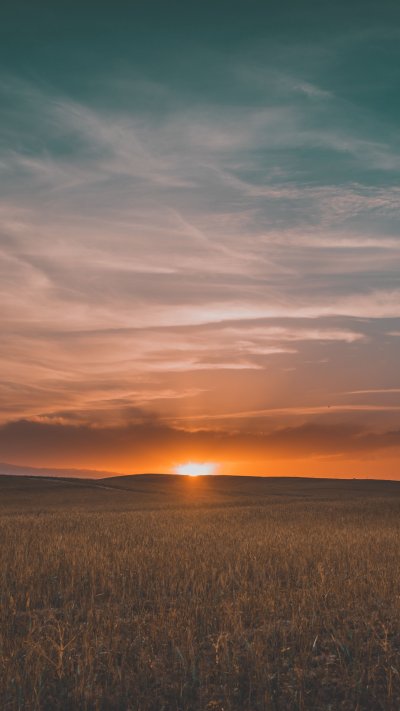 Закат в поле