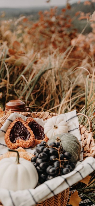 Осенний пикник