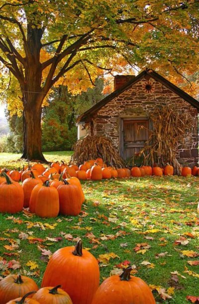 Дача. Осень