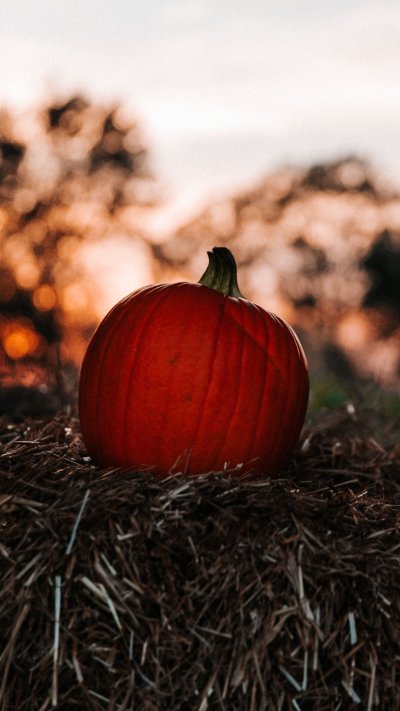 Красная тыква