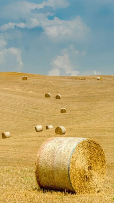 Стога сена