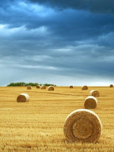 Холмы стога сена Тоскана