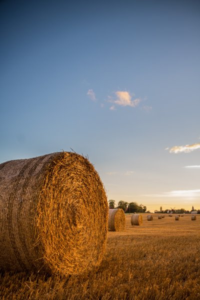 Поле со стогами сена
