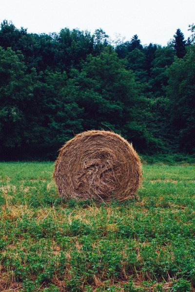 Стог Скирда копна