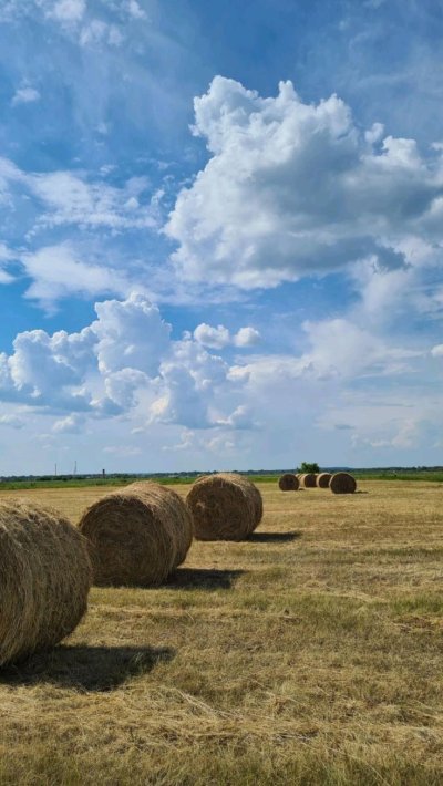 Стог сена