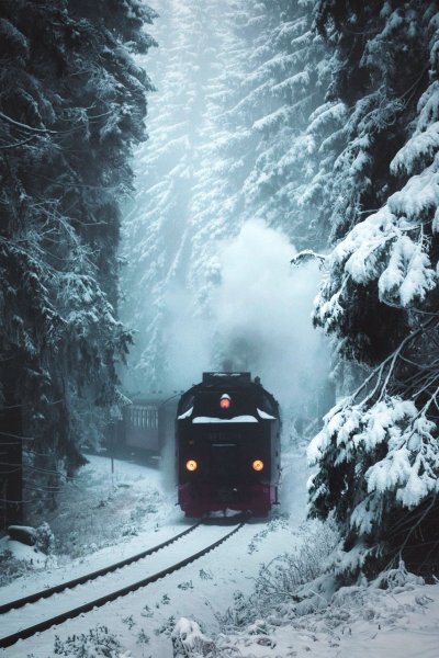 Поезд зимой