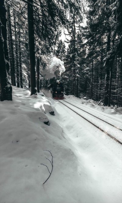 Поезд зимой