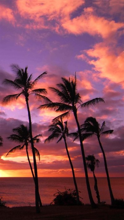 Сансет Бич Гавайи