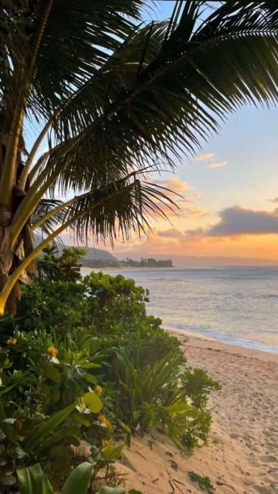 Доброе утро картинки в тропиках