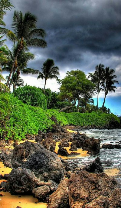 Экзотические пейзажи